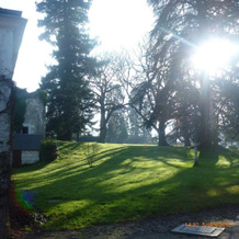 Gîte A l'ombre de l'Abbaye, Faverolles-sur-Cher — photo 4