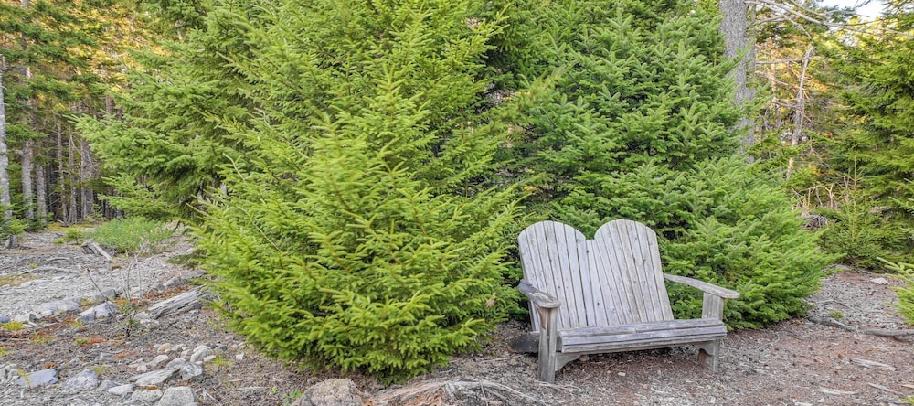 Cozy Acadia Area Cabin, Walk to Beach & Lighthouse, 普罗спект港 — 照片 1
