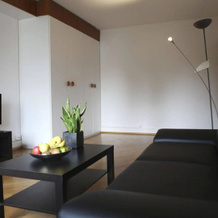 rent-a-home Bristenweg, 巴塞尔 — 照片 4