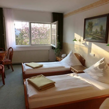 Land-gut-Hotel Schenkenberger Hof, 德利奇 — 照片 5