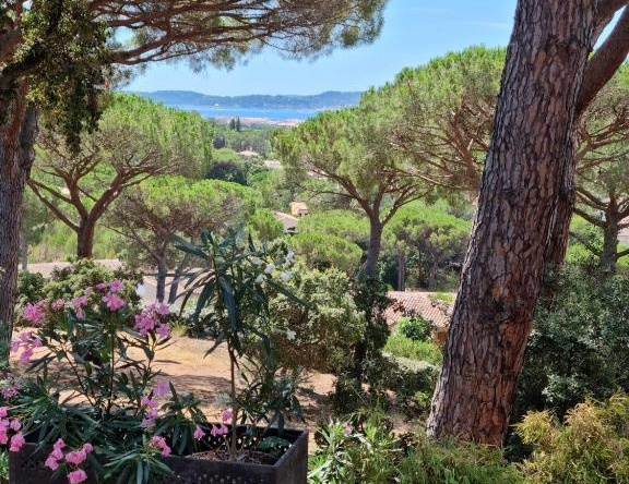 Mazet clim vue St Tropez, 圣马克西姆 — 照片 1
