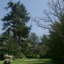 Domaine de Fonroques - Roulottes, 蒙卡雷 — 照片 2