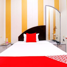 OYO 42787 Hotel Shahi Mahal, 金德 — 照片 4