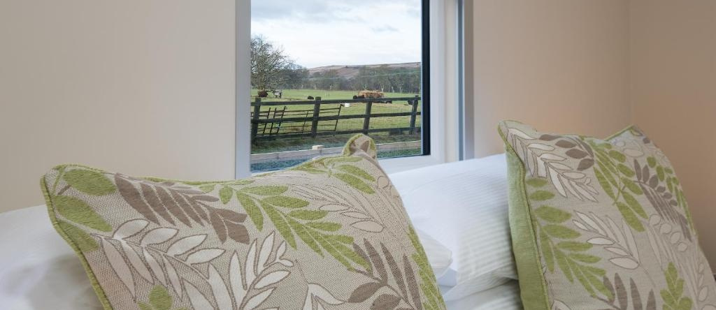 Brown Rigg Guest Rooms, 贝灵厄姆 — 照片 1
