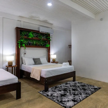 El Deseo Serendipity Hotel, 托尔图格罗 — 照片 3