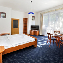 Hotel Laguna Slapy, Невеклов — фото 2