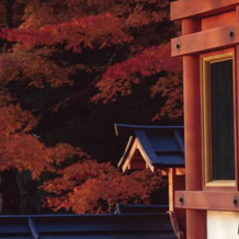 Kanko Ryokan Yamatoya, Sakurai — photo 4