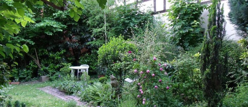 Apt. La Grenouillère De Turckheim, 蒂尔克海姆 — 照片 1