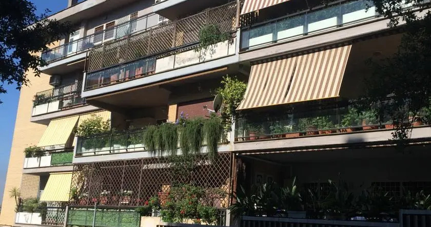 Piccolino, Рим — фото 1