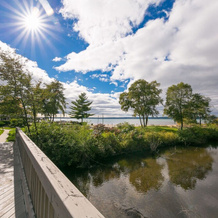 The Shores Lakeside Condo Unit 5677, 阿克米 — 照片 4