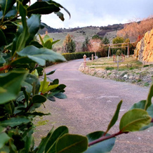 Agriturismo Leanza "La Baita", San Teodoro — photo 2