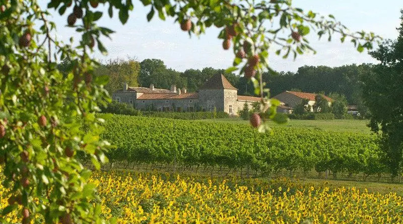 Château Des Baudry, Монестье — фото 1