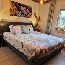 B&B Resort Tremele, Ренен — фото 4