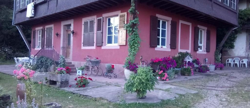 Gîte "Cadichon", 明斯特 — 照片 1