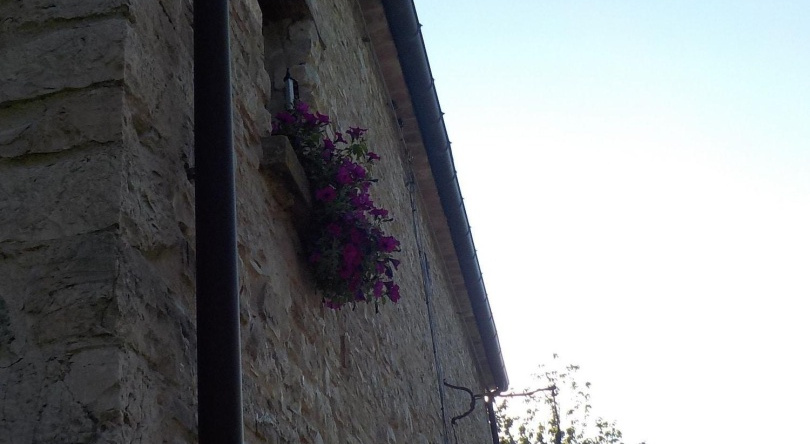 B&B Prato dei Caprioli, Maiolo — photo 1