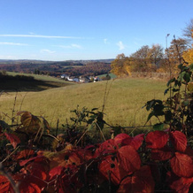Fewo Vulkaneifel, Tettscheid — photo 2