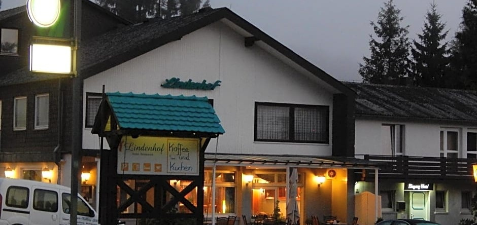 Hotel-lindenhof, 劳申贝格 — 照片 1