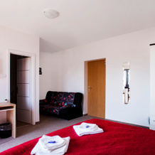 London Rooms Zagreb Airport, Велика-Горица — фото 5