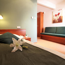 Hotel Paganini, Брандис-над-Лабем-Стара-Болеслав — фото 5