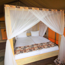Africa Safari Lake Manyara, 米贡加尼 — 照片 3