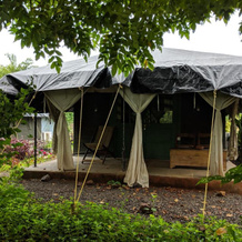 Bohemyan Blue Stay, Mandwa — photo 4