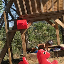 Gite Au Paradis, Parc Animalier (Adults Only), Ольмета-ди-Туда — фото 3