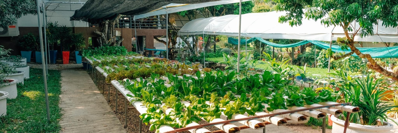 Silver Garden Resort, Dan Makham Tia — photo 1
