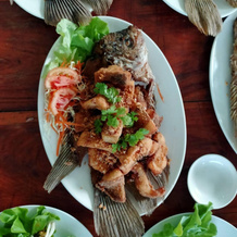Uthaithani Resort, Nong Khayang — photo 4