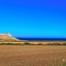 Agriturismo Masseria Terra D'Otranto, 奥特朗托 — 照片 4