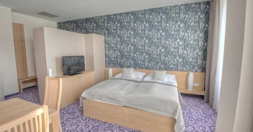 Hotel Vinice Hnanice, 赫纳尼采 — 照片 1