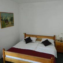 Motel Jelčić, Чаплина — фото 5