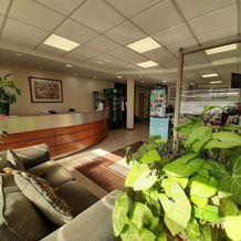 Nativo Hotel y Cafeteria, 塔尔卡 — 照片 2