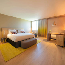 Pullman Toulouse, 布拉尼亚克 — 照片 3