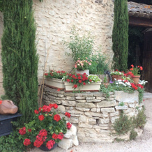 Chambre D'Hôtes Au Chant Des Sorgues, 拉尼 — 照片 4