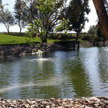 Temecula CoachHouse, San Jacinto — photo 5