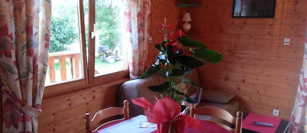 CHALET LE VAL-D'AJOL, 2 PIèCES, 2 PERSONNES - FR-1-589-230, 勒瓦勒达若勒 — 照片 1