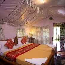 Shanthi Kunnj Homestay, 希卡马加卢鲁 — 照片 5