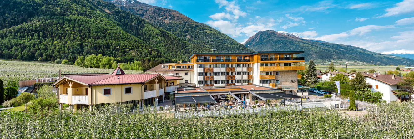 Hotel Paradies, 拉切斯 — 照片 1