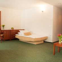 B&B Vila Otočec, Ново Место — фото 2