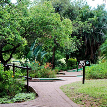 Kruger Park Lodge Unit 243, 黑泽尔维尤 — 照片 4