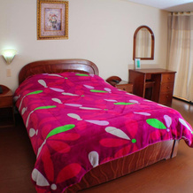 Hotel Santa Isabel II, 伊皮亚莱斯 — 照片 3