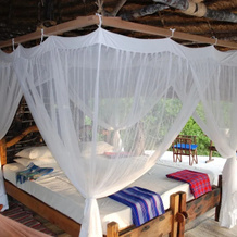 Wami River Bush Retreat - Kisampa, 巴加莫约 — 照片 4