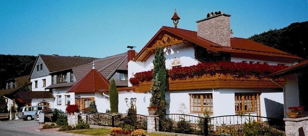 Harzhotel Zum Mühlenberg, 巴德萨克萨 — 照片 1