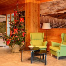 Hotel Dolenjc, Ново Место — фото 2