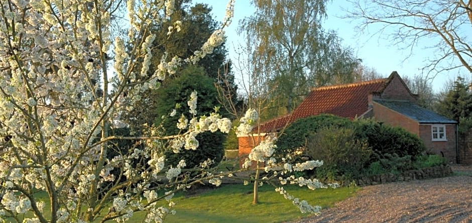 Field Cottage Bed and Breakfast, 东哈林 — 照片 1