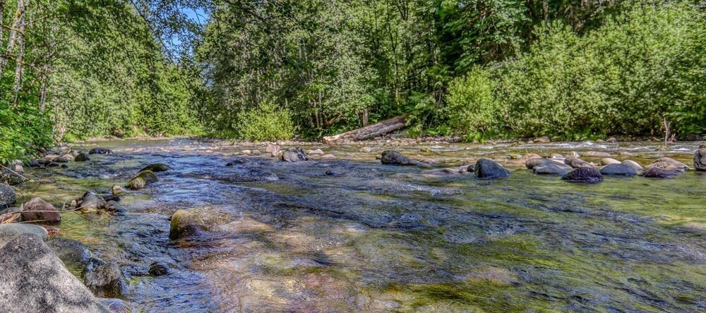 Salmon River Chalet, 韦尔奇 — 照片 1
