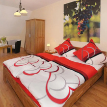 Gästezimmer Mack, Эстрих-Винкель — фото 3