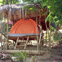 Camping Paradise and Singalong Mountain Garden, Antipolo — photo 3