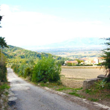 La Casa sulla Collina, Altavilla Silentina — photo 3
