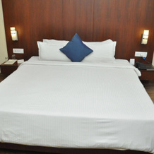 OYO 13279 Hotel Jabali Palace, 贝达加特 — 照片 5
